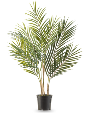 Le palmier artificiel Chamaedorea 71 cm a de longues feuilles vertes minces et de multiples troncs, ce qui lui donne l'apparence d'un grand palmier dans un pot sur un fond blanc.