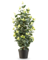 De Kunstplant Eucalyptus 61 cm is een kunstplant in pot met groene bladeren in een eenvoudige zwarte pot, die rechtop staat tegen een witte achtergrond.