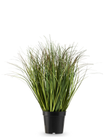Le gazon artificiel vert sec 50 cm ignifuge possède de longues et fines brindilles artificielles vertes dans un simple pot en plastique noir, sur un fond blanc uni.