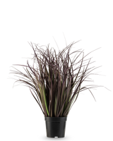 Le gazon artificiel Wild Lawn 50 cm ignifuge a des feuilles hautes, étroites et violet foncé dans un pot noir sur un fond blanc - une plante artificielle élégante idéale pour les intérieurs modernes.
