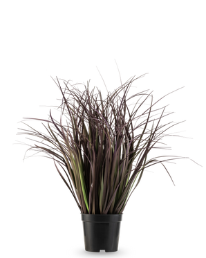 Le gazon artificiel Wild Lawn 50 cm ignifuge a des feuilles hautes, étroites et violet foncé dans un pot noir sur un fond blanc - une plante artificielle élégante idéale pour les intérieurs modernes.