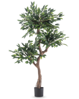 La Plante Artificielle Ficus Crazy 150 cm est un grand arbre artificiel avec trois bouquets de feuilles vertes denses et un tronc marron torsadé, dans un simple pot noir sur fond blanc.