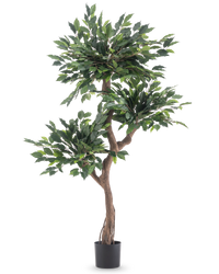 Plante artificielle Ficus Crazy 150 cm