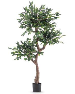 La Plante Artificielle Ficus Crazy 150 cm est un grand arbre artificiel avec trois bouquets de feuilles vertes denses et un tronc marron torsadé, dans un simple pot noir sur fond blanc.