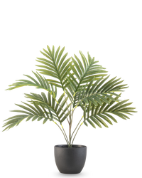Palmier artificiel Phoenix 50 cm dans un pot décoratif noir