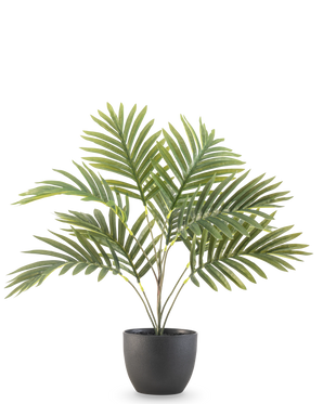 Le palmier artificiel Phoenix 50 cm présente de longues feuilles vertes courbées dans un pot décoratif rond noir, sur un fond blanc uni.