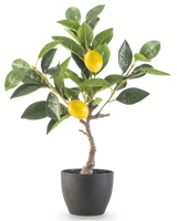 Le Citronnier Artificiel 40 cm en pot décoratif noir a des feuilles vertes et deux citrons jaunes mûrs dans un pot à structure noire, parfait pour être exposé sur un fond blanc.