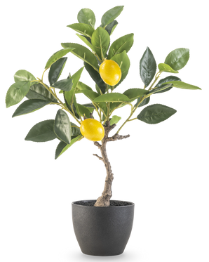 Le Citronnier Artificiel 40 cm en pot décoratif noir a des feuilles vertes et deux citrons jaunes mûrs dans un pot à structure noire, parfait pour être exposé sur un fond blanc.