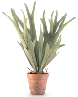 La fougère artificielle Staghorn 43 cm a des feuilles vertes réalistes en forme de bois dans un petit pot en terre cuite sur fond blanc.