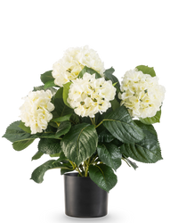 Hortensia artificiel 43 cm blanc