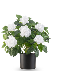 Plante artificielle Gardenia 39 cm blanc