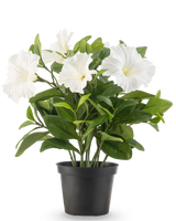 La plante de pétunia artificielle UV de 25 cm de haut a de grandes fleurs blanches en forme de trompette et des feuilles vertes luxuriantes dans un pot en plastique noir, sur un fond blanc uni.