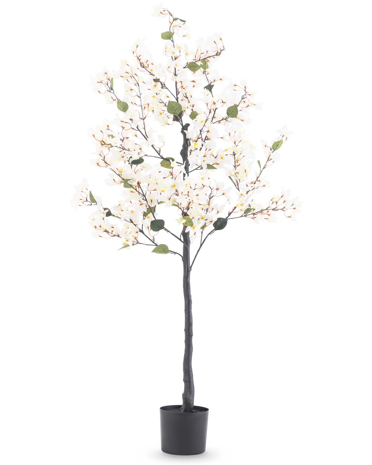 Le Bougainvillier Artificiel 150 cm blanc est un grand arbre artificiel avec des fleurs blanches et des feuilles vertes, dans un pot cylindrique noir sur un fond blanc uni.