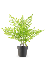 La Fougère Plante Artificielle 35 cm est une fougère verte artificielle avec des feuilles délicates ressemblant à des plumes dans un simple pot en plastique noir, sur un fond blanc uni.