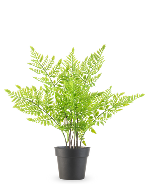 La Fougère Plante Artificielle 35 cm est une fougère verte artificielle avec des feuilles délicates ressemblant à des plumes dans un simple pot en plastique noir, sur un fond blanc uni.