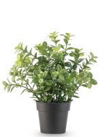 La Plante Artificielle Eucalyptus 27 cm possède des feuilles vertes denses dans un simple pot gris foncé, sur un fond uni blanc.