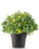 La Plante Artificielle Vert/Jaune UV 21 cm présente des feuilles vertes et de petites fleurs jaunes dans un pot uni noir, sur fond blanc.