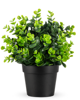 De Kunstplant Groen in pot UV 22 cm is een kleine, levendige groene kunstplant met dichte, ronde bladeren in een eenvoudige zwarte pot, afgebeeld tegen een effen witte achtergrond.