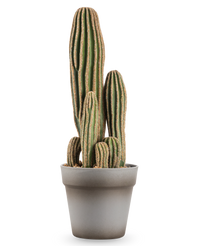 Cactus artificiel 41 cm