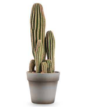Le cactus artificiel de 41 cm est un grand cactus artificiel vert à plusieurs tiges avec des crêtes verticales et des bords marron, présenté dans un simple pot de fleur gris sur un fond blanc.