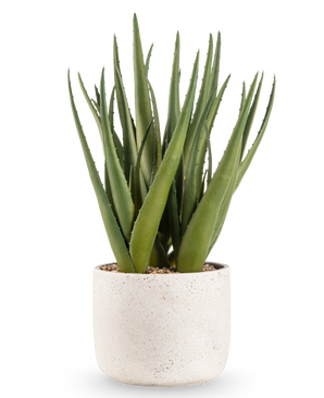 La plante artificielle Aloe Vera 43 cm présente de longues feuilles vertes pointues dans un petit pot rond avec une structure blanche et des galets, sur un fond uni blanc.