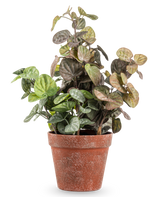 La plante artificielle Peperomia de 35 cm présente des feuilles rondes teintées de vert et de violet dans un pot en terre cuite patinée, sur un fond blanc uni.
