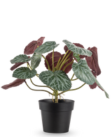 La Plante Artificielle Saxifraga 27 cm a des feuilles vertes avec des nervures blanches et un dessous rouge-violet, présentées dans un simple pot noir sur un fond blanc uni.