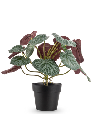 La Plante Artificielle Saxifraga 27 cm a des feuilles vertes avec des nervures blanches et un dessous rouge-violet, présentées dans un simple pot noir sur un fond blanc uni.
