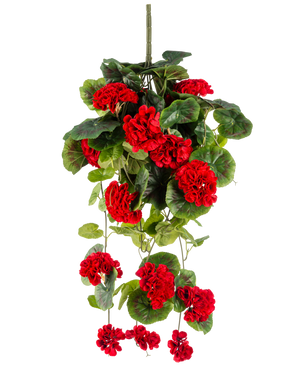 La plante artificielle suspendue Géranium 75 cm rouge a des fleurs de géranium artificielles rouge vif avec des feuilles vertes luxuriantes qui tombent élégamment.