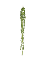 La plante artificielle suspendue Senecio 91 cm possède de longs brins sinueux avec de petites feuilles vertes rondes qui pendent verticalement sur un fond blanc uni.