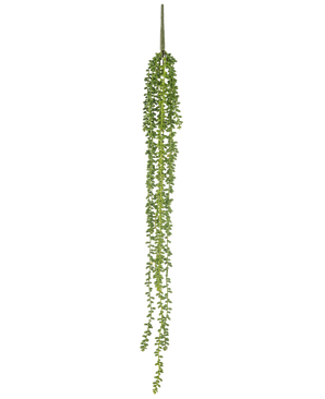 La plante artificielle suspendue Senecio 91 cm possède de longs brins sinueux avec de petites feuilles vertes rondes qui pendent verticalement sur un fond blanc uni.
