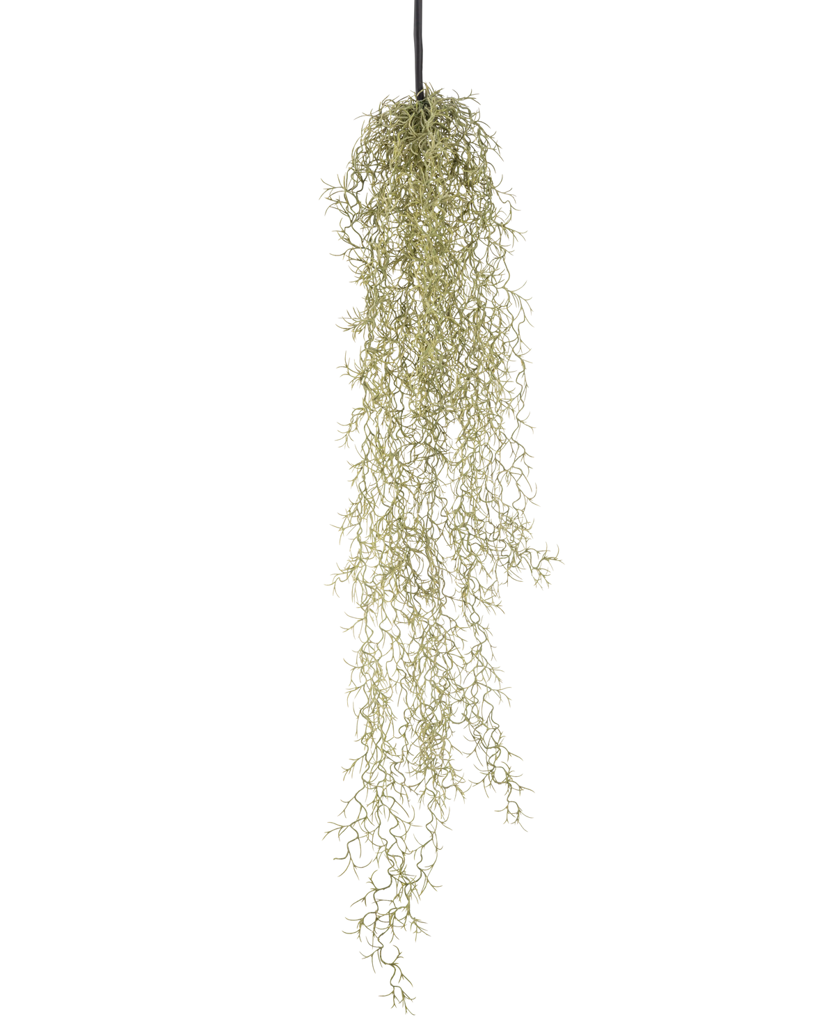 Une plante artificielle suspendue de 91 cm avec de longues feuilles vert clair traînantes est suspendue à un cordon noir sur un fond blanc uni.