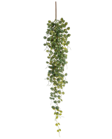 La plante artificielle suspendue Pumila 96 cm a de petites feuilles vertes rondes qui pendent à une tige brune, créant un effet de traînée réaliste. Présentée sur un fond blanc, cette plante artificielle ajoute de la verdure sans entretien.