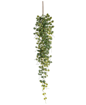 La plante artificielle suspendue Pumila 96 cm a de petites feuilles vertes rondes qui pendent à une tige brune, créant un effet de traînée réaliste. Présentée sur un fond blanc, cette plante artificielle ajoute de la verdure sans entretien.