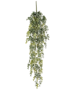 La plante artificielle suspendue Eucalyptus 60 cm a de petites feuilles vertes rondes et réalistes qui tombent, créant un eucalyptus artificiel réaliste sur un fond blanc uni.