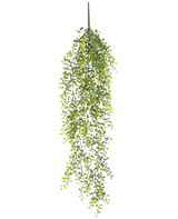 La Plante artificielle suspendue Buxus 80 cm est une plante artificielle suspendue avec de longues vrilles vertes sinueuses et de petites feuilles rondes sur un fond blanc.
