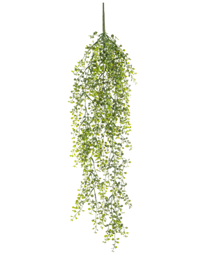 La Plante artificielle suspendue Buxus 80 cm est une plante artificielle suspendue avec de longues vrilles vertes sinueuses et de petites feuilles rondes sur un fond blanc.