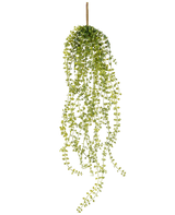 La Plante artificielle suspendue Jasmin 63 cm est une plante artificielle suspendue avec de longues tiges pendantes de petites feuilles vertes rondes, suspendues à une seule tige brune sur un fond blanc.