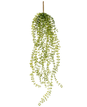 La Plante artificielle suspendue Jasmin 63 cm est une plante artificielle suspendue avec de longues tiges pendantes de petites feuilles vertes rondes, suspendues à une seule tige brune sur un fond blanc.
