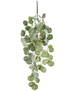 De Kunst hangplant Eucalyptus 73 cm heeft ronde groene bladeren aan meerdere stelen die sierlijk tegen een witte achtergrond hangen.