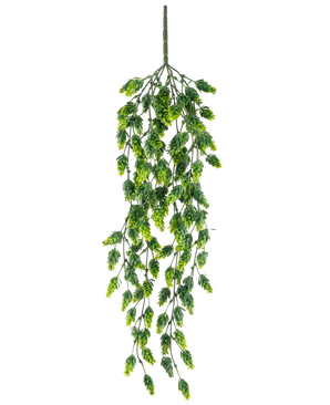 La Plante Artificielle Suspendue Hop UV 80 cm est une plante artificielle suspendue aux feuilles vertes en cascade sur de longues tiges fines, isolées sur un fond blanc.