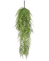 La plante artificielle suspendue asperge 78 cm a de longues feuilles vertes délicates qui tombent, créant une image luxuriante et réaliste sur un fond blanc uni.