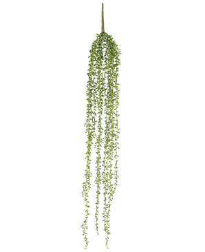 La plante artificielle suspendue Senecio 91 cm possède de longues tiges pendantes avec de petites feuilles vertes, créant une élégante plante artificielle suspendue sur un fond blanc uni.