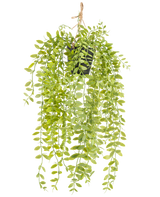La plante artificielle suspendue Pumila en pot de 55 cm a de longues tiges pendantes avec de petites feuilles ovales vertes, dans un pot noir avec une corde sur fond blanc.