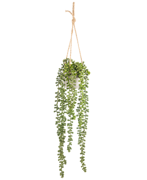 La plante artificielle suspendue Senecio en pot de 55 cm a de longues tiges vertes suspendues avec des feuilles rondes, suspendues dans un pot blanc sur une corde beige, parfaite pour ajouter de la verdure à n'importe quel espace.