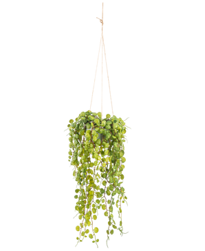 La Plante succulente artificielle suspendue de 53 cm en pot présente des feuilles vertes rondes émergeant d'un pot suspendu, maintenues par de fines cordelettes marron sur un fond uni blanc.