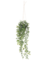 La plante artificielle suspendue Scindapsus en pot de 73 cm a des feuilles vertes luxuriantes et de longues vrilles enroulées, suspendues à une fine corde sur un fond blanc uni.