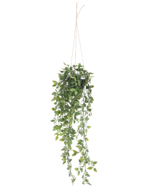 La plante artificielle suspendue Scindapsus en pot de 73 cm a des feuilles vertes luxuriantes et de longues vrilles enroulées, suspendues à une fine corde sur un fond blanc uni.