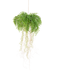 Plante artificielle tombante Fougère avec racines d35 cm avec système de suspension