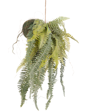 La plante artificielle suspendue Fougère givrée sur boule 97 cm possède de longues feuilles vertes gracieuses qui pendent d'une boule recouverte de mousse sur une fine corde. Une plante d'intérieur élégante et sans entretien qui s'intègre parfaitement dans n'importe quel intérieur.